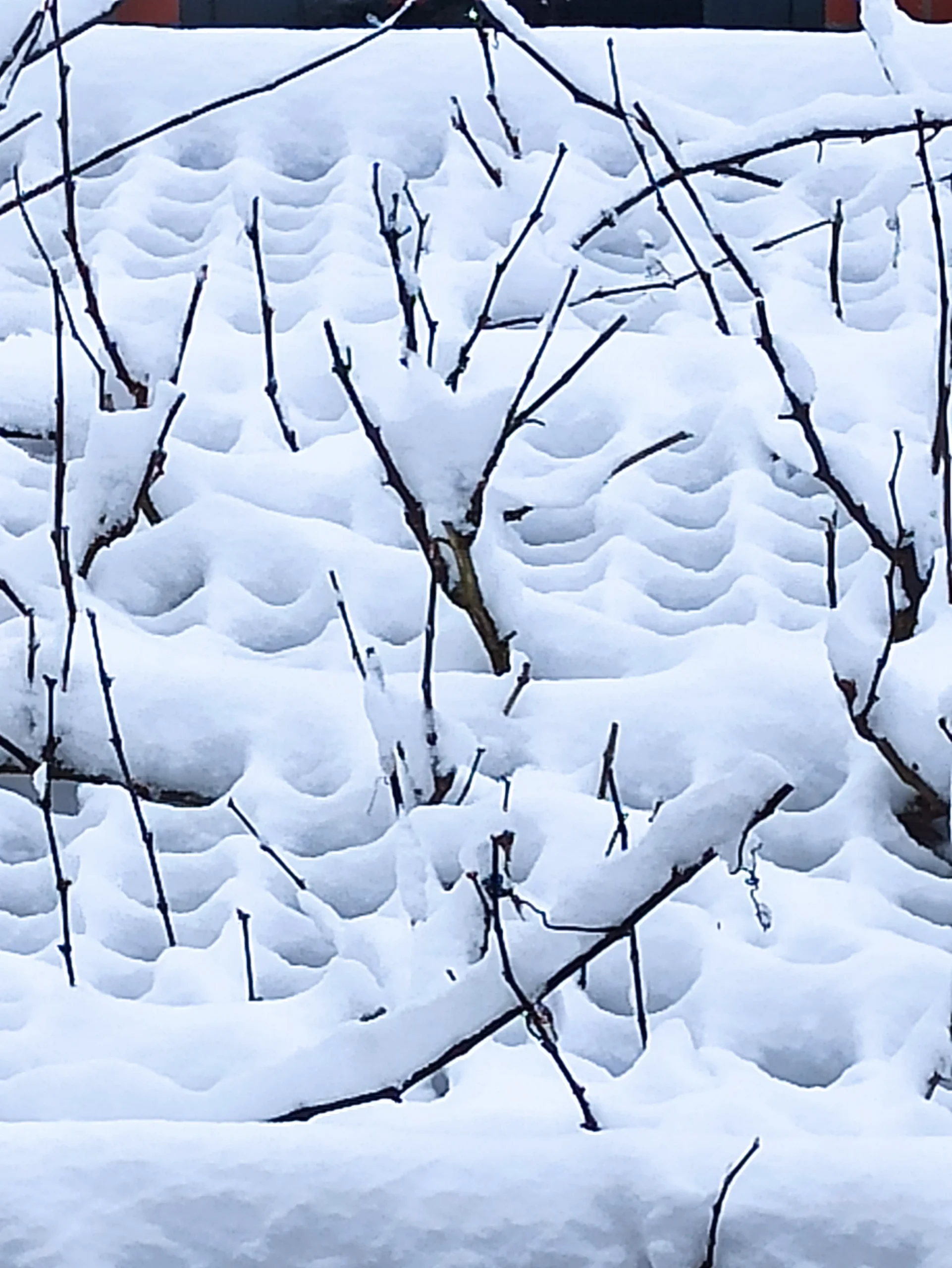 5 Januari geen schaken